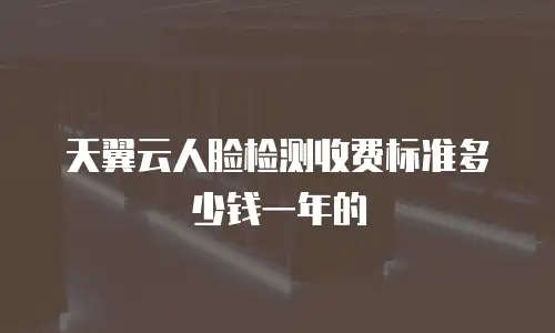天翼云人脸检测收费标准多少钱一年的