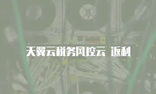天翼云税务风控云 返利
