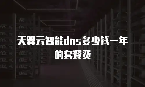 天翼云智能dns多少钱一年的套餐费