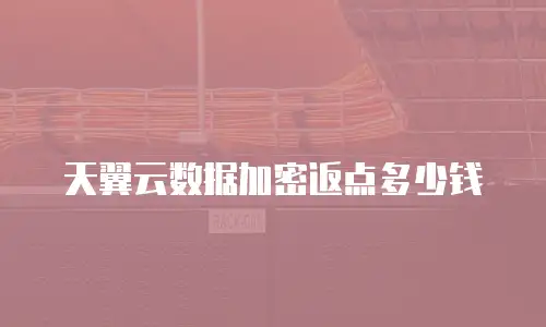 天翼云数据加密返点多少钱