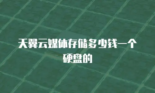 天翼云媒体存储多少钱一个硬盘的