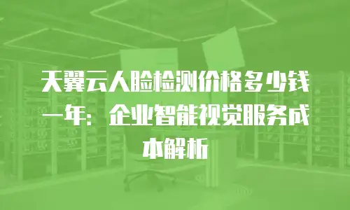 天翼云人脸检测价格多少钱一年：企业智能视觉服务成本解析