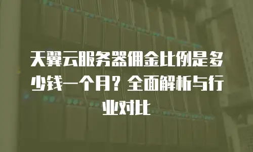 天翼云服务器佣金比例是多少钱一个月？全面解析与行业对比