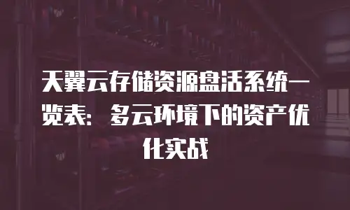 天翼云存储资源盘活系统一览表：多云环境下的资产优化实战