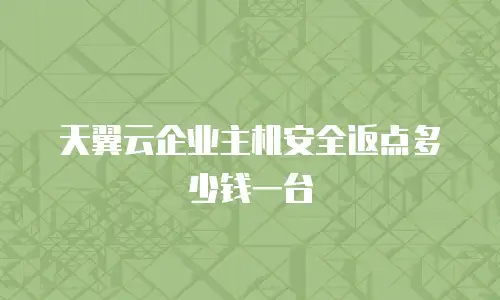 天翼云企业主机安全返点多少钱一台
