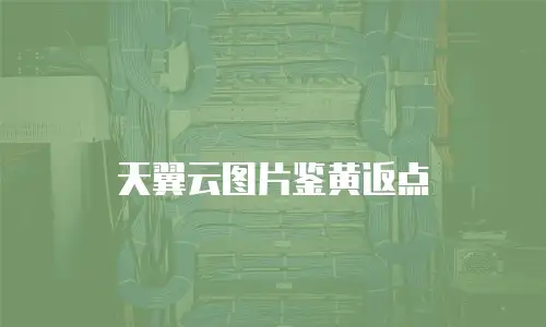 天翼云图片鉴黄返点