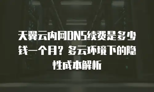 天翼云内网DNS续费是多少钱一个月？多云环境下的隐性成本解析