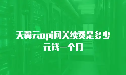 天翼云api网关续费是多少元钱一个月