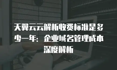 天翼云云解析收费标准是多少一年：企业域名管理成本深度解析