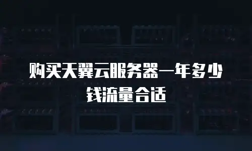 购买天翼云服务器一年多少钱流量合适