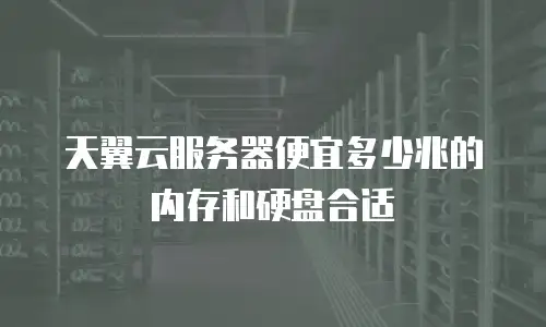 天翼云服务器便宜多少兆的内存和硬盘合适