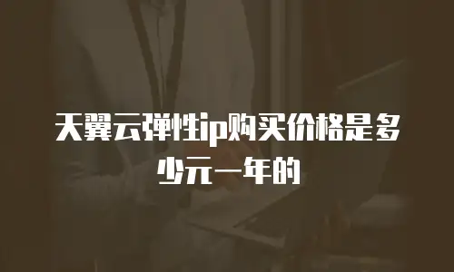 天翼云弹性ip购买价格是多少元一年的