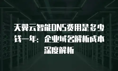 天翼云智能DNS费用是多少钱一年：企业域名解析成本深度解析
