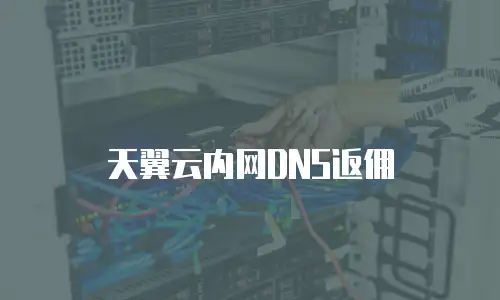 天翼云内网DNS返佣