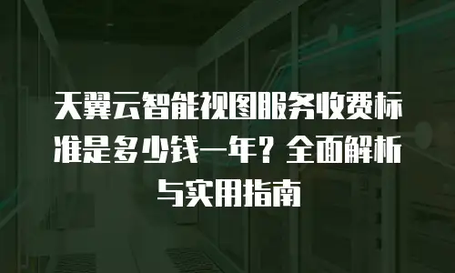 天翼云智能视图服务收费标准是多少钱一年？全面解析与实用指南