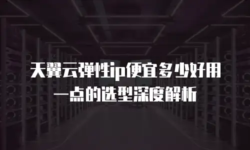 天翼云弹性ip便宜多少好用一点的选型深度解析