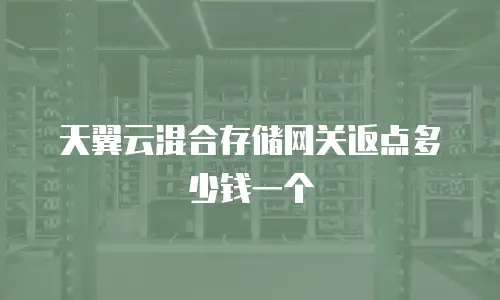 天翼云混合存储网关返点多少钱一个