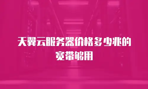 天翼云服务器价格多少兆的宽带够用