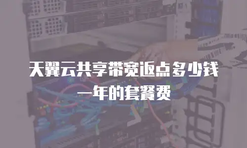 天翼云共享带宽返点多少钱一年的套餐费