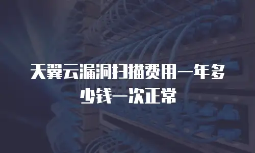 天翼云漏洞扫描费用一年多少钱一次正常