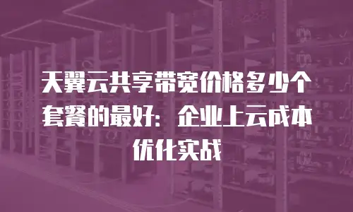 天翼云共享带宽价格多少个套餐的最好：企业上云成本优化实战