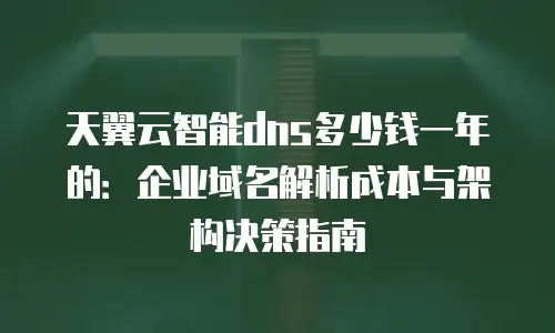 天翼云智能dns多少钱一年的：企业域名解析成本与架构决策指南