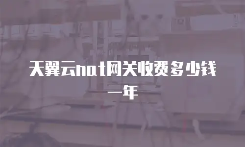 天翼云nat网关收费多少钱一年