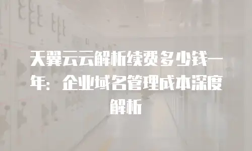 天翼云云解析续费多少钱一年：企业域名管理成本深度解析