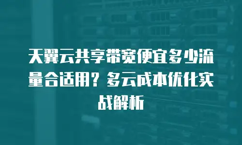 天翼云共享带宽便宜多少流量合适用？多云成本优化实战解析