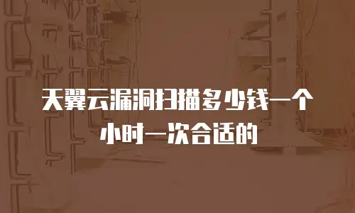 天翼云漏洞扫描多少钱一个小时一次合适的