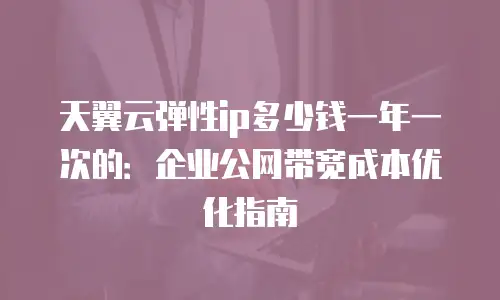 天翼云弹性ip多少钱一年一次的：企业公网带宽成本优化指南