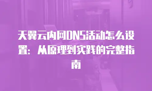 天翼云内网DNS活动怎么设置：从原理到实践的完整指南
