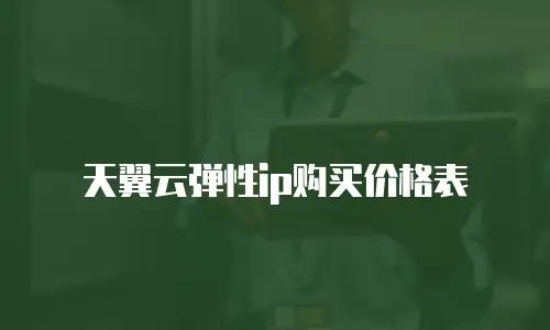 天翼云弹性ip购买价格表