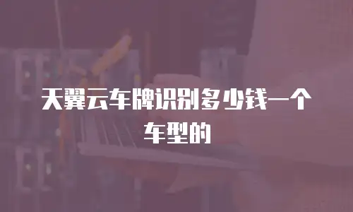 天翼云车牌识别多少钱一个车型的