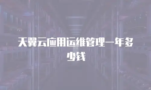 天翼云应用运维管理一年多少钱