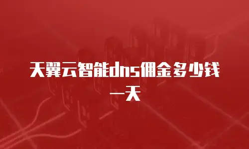 天翼云智能dns佣金多少钱一天