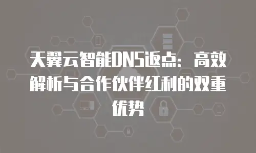 天翼云智能DNS返点：高效解析与合作伙伴红利的双重优势