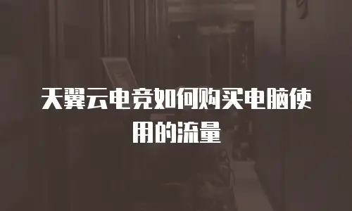 天翼云电竞如何购买电脑使用的流量