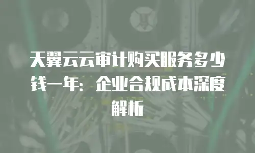 天翼云云审计购买服务多少钱一年：企业合规成本深度解析