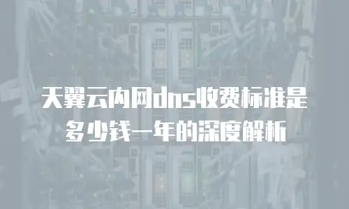 天翼云内网dns收费标准是多少钱一年的深度解析
