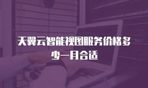 天翼云智能视图服务价格多少一月合适