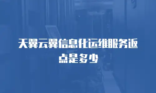 天翼云翼信息化运维服务返点是多少