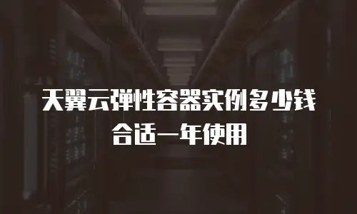 天翼云弹性容器实例多少钱合适一年使用