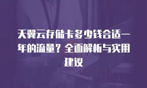 天翼云存储卡多少钱合适一年的流量？全面解析与实用建议