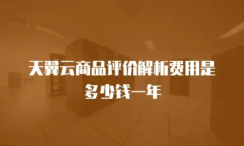 天翼云商品评价解析费用是多少钱一年