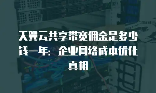 天翼云共享带宽佣金是多少钱一年：企业网络成本优化真相