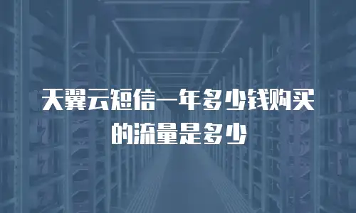 天翼云短信一年多少钱购买的流量是多少