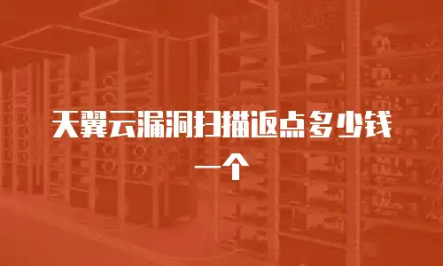 天翼云漏洞扫描返点多少钱一个