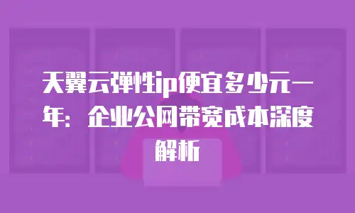 天翼云弹性ip便宜多少元一年：企业公网带宽成本深度解析