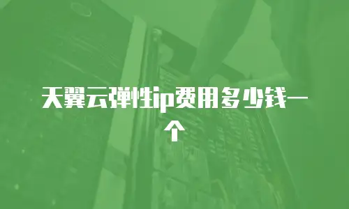 天翼云弹性ip费用多少钱一个